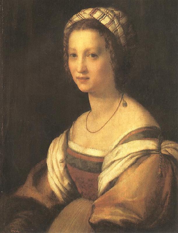 Andrea del Sarto Portrait of the Artist's Wife Sweden oil painting art